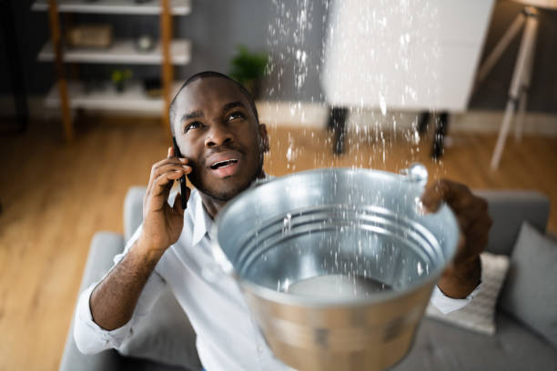 Best Flood damage cleanup  in Dranesville, VA
