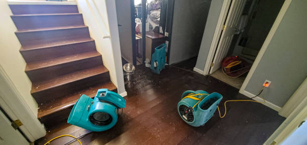 Best Water damage restoration near me  in Dranesville, VA