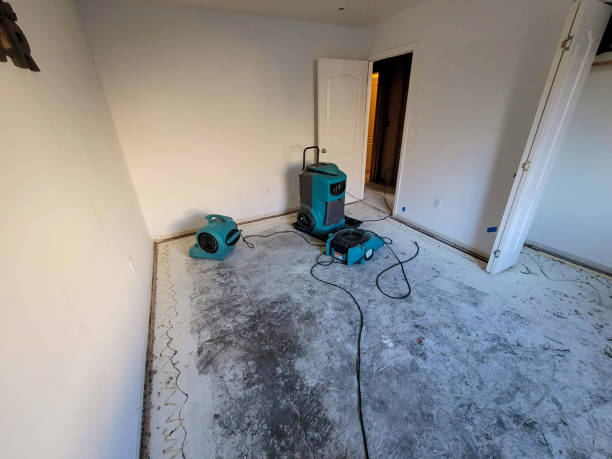 Best Local water damage restoration  in Dranesville, VA